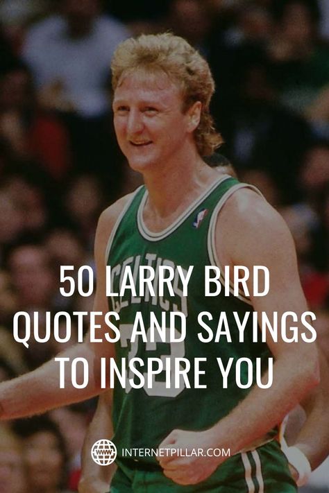 Quotes On Winning, Basketball Inspirational Quotes, Basketball Quotes Motivational, Larry Bird Quotes, Basketball Motivational Quotes, Famous Sports Quotes, Basketball Sayings, Good Song Quotes, Inspirational Basketball Quotes