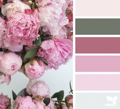 Flat Design Colors, Design Seeds Color Palette, Seeds Color Palette, Decorating Painting, Today's Inspiration, Seeds Color, Flora Design, Design Seeds, Color Harmony