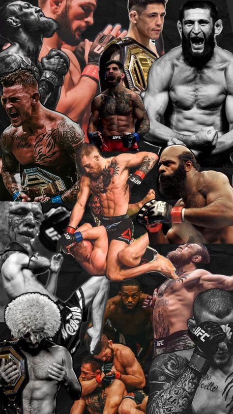 Fighters mma Ufc Conor Mcgregor, Gym Back Workout, Conor Mcgregor Poster, Martial Arts Manga, Ufc Poster, Olympic Wrestling, Connor Mcgregor, Cr7 Vs Messi, Boxing Images