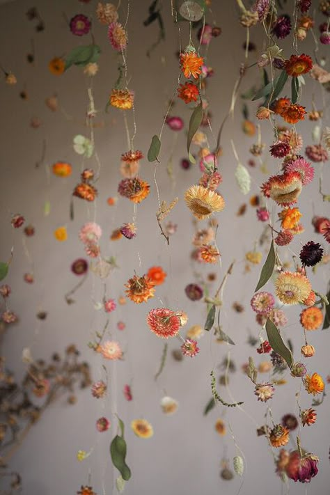 Botanical Tales | Floral Installation Artist Everlasting Bouquet, Flower Ceiling, Flower Curtain, Flower Installation, Floating Flowers, Hanging Flowers, Wildflower Wedding, Deco Floral, Flower Garlands