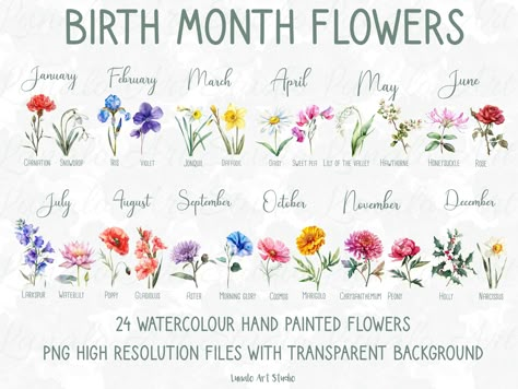 Birth Month Flowers In Color, Birth Flower Painting, Divorce Tattoo, Wildflower Clipart, Floral Png, Flowers Clipart, Flower Watercolor, Birth Month Flower, Month Flowers