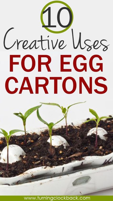 Reuse Egg Cartons, Egg Carton Uses, Egg Carton Ideas, Egg Box Craft, Egg Crates, Diy Kids Furniture, Diy Cleaning Products Recipes, Egg Box, Egg Carton Crafts