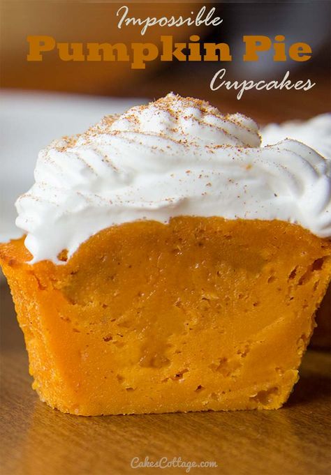 Impossible Pumpkin Pie Cupcakes, Pumpkin Pie Cupcakes Recipe, Impossible Pumpkin Pie, Impossible Pies, Pumpkin Pie Cupcakes, Impossible Pie, Pie Cupcakes, Best Thanksgiving Recipes, Copycat Starbucks