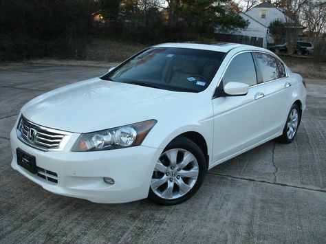 2009 Honda Accord EXL Honda Accord 2012, 2009 Honda Accord, Honda Inspire, Korean Cars, Material Gworl, Vision Bored, 2012 Honda Accord, Honda Accord Ex, Board Inspiration