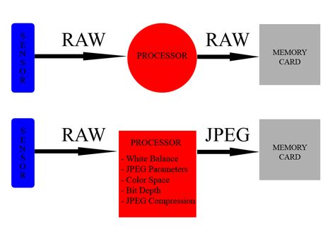 Raw Vs Jpeg, Disney Memories, Disney Photography, Disney Life, Light Photography, Love Photography, Art School, Inspire Me, Photography Tips