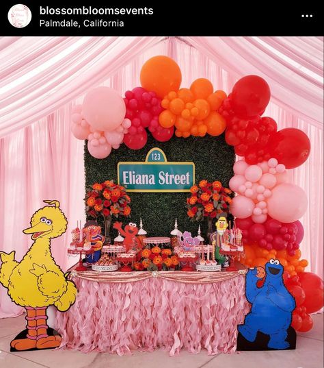 Pink Red And Orange Elmo Party, Abby Cadabby And Elmo Party Ideas, Elmo And Tango Birthday, Sesame Street Farm Birthday, Sesame Street Birthday Party Ideas 1st Girl, Elmo Abby Birthday Party Girly, Pink Sesame Street Birthday, Elmo Second Birthday Girl, Elmos World Birthday Party Girl