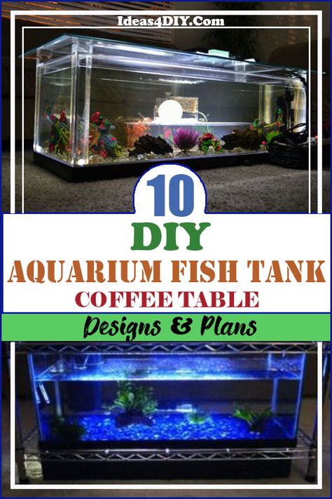 Diy Aquarium Coffee Table, Fish Tank Coffee Table Diy, Aquarium Table Ideas, Old Aquarium Ideas Diy Upcycle, Aquarium Table, Fish Tank Coffee Table, Fish Display, Dream Aquarium, Goldfish Breeding