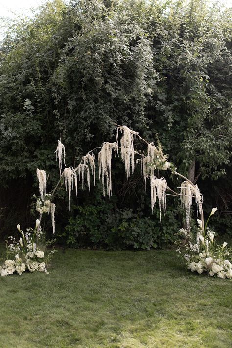 Hanging Amaranthus wedding ceremony vow arch with Calla Lilies and Agrostemma bases. Green and white, clean romantic dreamy wedding aesthetic Wedding Arch Hanging Lights, Vine Arch Wedding, Nontraditional Wedding Arch, Non Traditional Wedding Altar, Asymmetrical Wedding Arch Flowers, Calla Lily Arch Wedding, Tree Ceremony Backdrop, 2024 Wedding Arch Trends, Timeless Whimsical Wedding