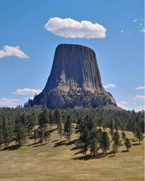 Devils Tower Wyoming, Devils Tower, Top Places To Travel, Heavenly Places, Ancient Origins, National Parks Usa, Daily Pictures, American Travel, Amazing Pics