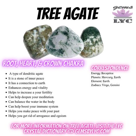 For more information on Tree Agate, please visit the LYC Crystal dictionary by clicking the link Tree Agate Meaning, Tree Agate Crystal Meaning, Tree Agate Properties, Crystal Dictionary, Lybian Desert Glass Crystal Meaning, Crazy Lace Agate Crystal Meaning, Agate Crystal Meaning, Blue Lace Agate Properties, Crystal Encyclopedia