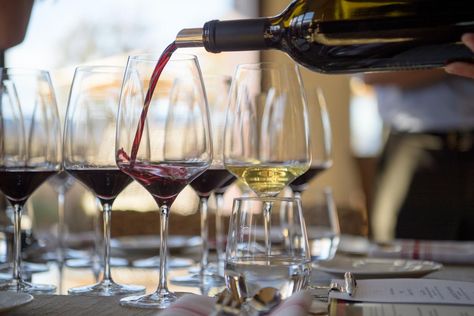 Wine Tasting Tips in Napa Valley | Terminology & What To Expect Napa Valley Wine Tasting, Thanksgiving Wine, Napa Valley Wineries, Winery Tasting Room, Wine Tasting Experience, Napa Valley Wine, Chenin Blanc, Growing Grapes, Wine Top