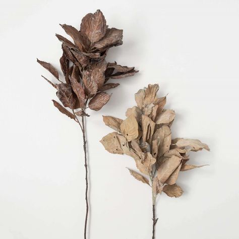 Free Spirit Hydrangea Leaf, Hydrangea Leaves, Fiddle Fig, Floral Projects, Dried Hydrangeas, Fall Mantel, Potted Trees, Artificial Plants, Joss And Main