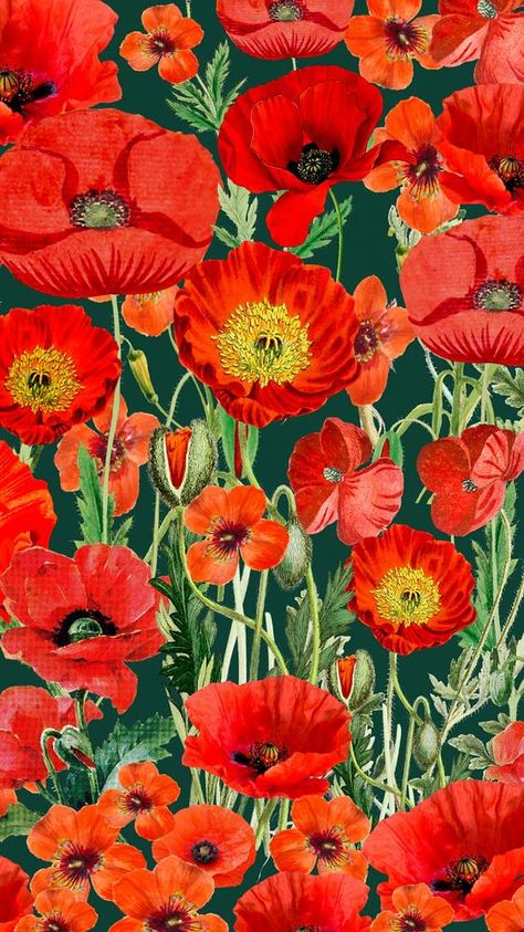 Poppy Flowers Wallpaper, Poppy Phone Wallpaper, Poppy Flower Aesthetic Wallpaper, Wallpaper Poppy Flower, Red Floral Background, Vintage Poppy Wallpaper, Poppies Wallpaper, Poppy Wallpaper, Flower Background Iphone