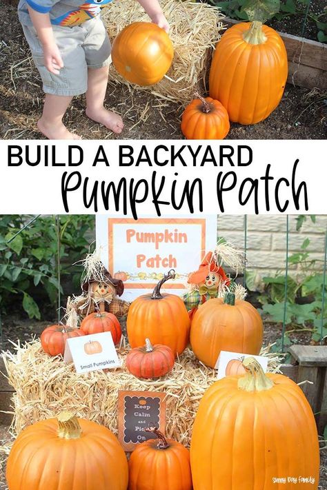 Can't go to the pumpkin patch this year? Make one at home! Super fun pumpkin patch activity for kids during social distancing. Let kids enjoy their own backyard pumpkin patch with these printables and ideas! Pumpkin Patch Preschool, Backyard Pumpkin Patch, Pumpkin Patch Diy, Pumpkin Patch Decoration, Preschool Pumpkins, Pumpkin Patch Activities, Pumpkin Birthday Party, Pumpkin Patch Kids, Pumpkin Patch Birthday