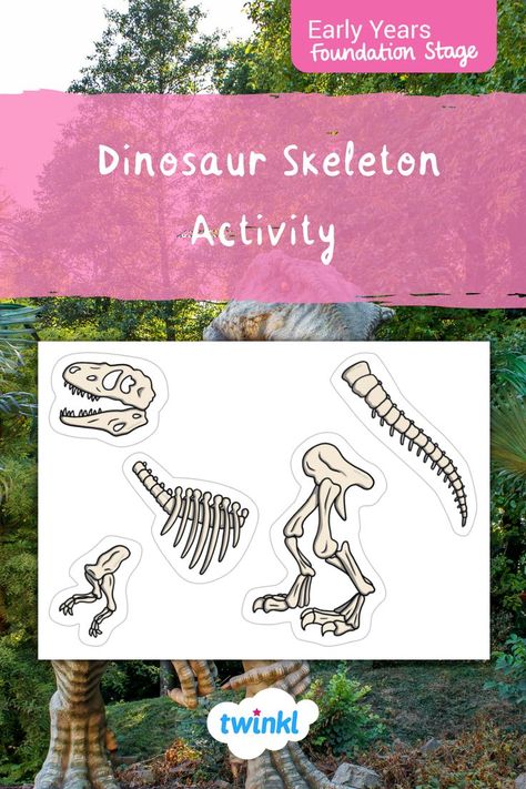 Volcano Party, Fossil Fighters, Build A Dinosaur, Fossils Activities, Preschool Dinosaurs, Dinosaur Display, Blue Jurassic World, Dinosaur Activities Preschool, Thema Dino