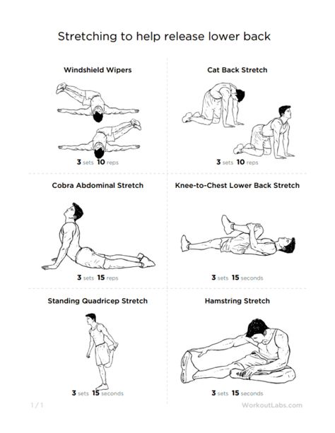 Lumbar Exercises, Stretches For Tight Hamstrings, Standing Up Straight, Abdominal Stretches, Lower Back Pain Stretches, Relieve Lower Back Pain, Back Muscle, Muscle Stretches, Back Strain