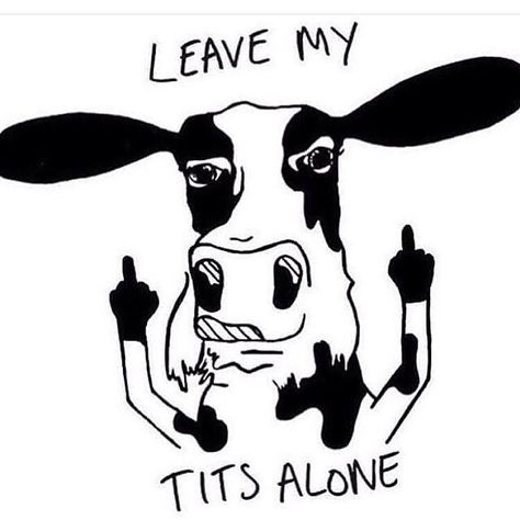 Not your momNot your milk  #vegan #vegansofig #vegancommunity #veganhumor by brianasynclair Vegan Facts, Vegan Tattoo, Vegan Memes, Vegan Quotes, Animal Liberation, Why Vegan, Vegan Humor, Vegan Inspiration, Vigan