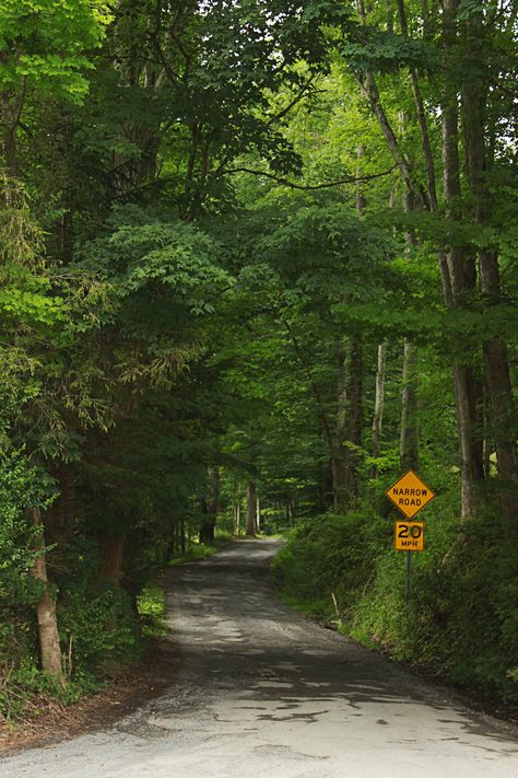 Narrow Road, Moon Beach, Side Road, Adventure Inspiration, Beautiful Roads, Country Roads Take Me Home, Photo Awards, Family Vacation Destinations, Road Trip Hacks