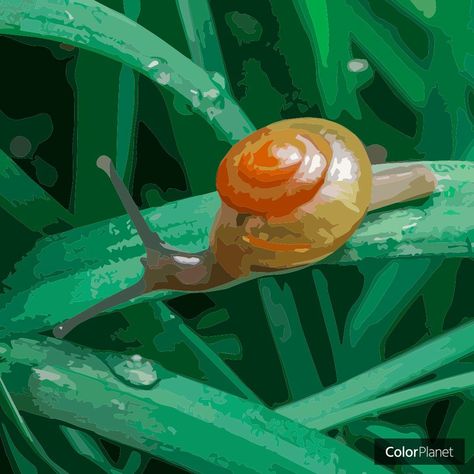 Snail Painting, Art Hub, Gouache Art, Mini Paintings, Digital Art Tutorial, Art Block, Art Reference Photos, Art Tutorials, The Game