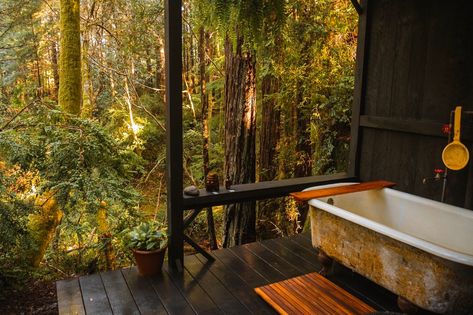 Forest Camping Hut — Elk Forest Retreat Forest Hut, Forest Camping, Wilderness Retreat, Forest Retreat, Forest Lodge, Relaxing Bathroom, Redwood Trees, Outdoor Sinks, Forest Cabin