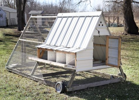 Diy Chicken Tractor, A Frame Chicken Coop, Mobile Chicken Coop, Chicken Tractors, Chicken Tractor, Coop Design, Beautiful Chickens, Backyard Poultry, Backyard Flocks