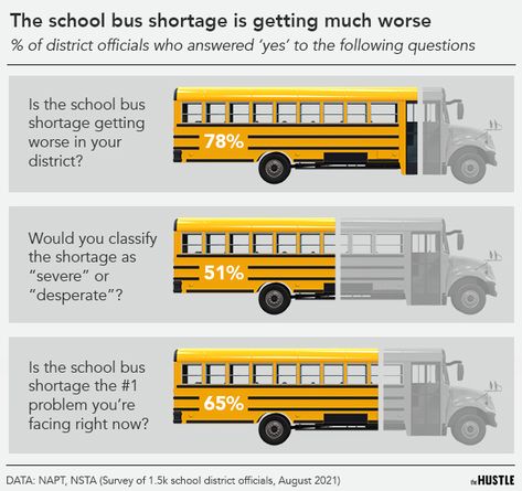 Why America has a school bus driver shortage School Bus Driver Tips, School Bus Driver Organization Ideas, School Bus Driver Hacks, Bus Information, Yellow School Bus, Country School, Bus Life, School Bus Driver, Wheels On The Bus