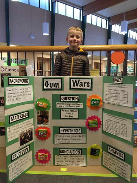 Science Fair Project For 1st Grade, Chewing Gum Science Fair Project, Easy 1st Grade Science Fair Projects, Bubble Gum Flavor Science Fair Project, Which Gum Lasts The Longest Science Fair Project, Science Fair Winners Projects, Creative Science Fair Projects, Science Fair Projects For Elementary 3rd, Science Project Trifold Board Ideas