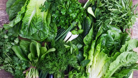 4 Delicious Salad Greens That Balance Gut Health, Lower Blood Pressure, and Boost Immunity Types Of Lettuce, Healthy Cheese, Healthy Rice, Salad Spinner, Beet Greens, Healthy Bread, Iceberg Lettuce, Types Of Vegetables, Healthy Vegetables