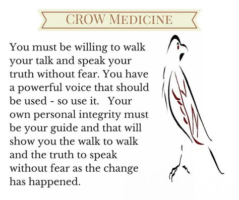 Crow Medicine Crows Meaning, Crow Meaning, Crow Medicine, Crow Flying, Shadow Work Spiritual, Spirit Animal Meaning, Animal Meanings, Personal Integrity, Chaos Magic