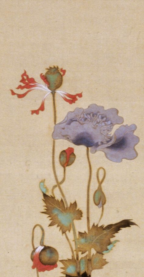 Detail. Poppies. Early 19th century. 酒井抱一 Sakai Hōitsu. Japanese hanging scroll. Rinpa School. MIA. Scroll Illustration Art, Japanese Flower Art, Rinpa School, Art Chinois, Japon Illustration, Floral Illustration, Art Japonais, Arte Floral, Pics Art