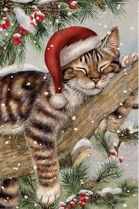 Christmas Animals Wallpaper, Cat Christmas Painting, Christmas Cats Aesthetic, Christmas Cats Wallpaper, Christmas Cat Painting, Christmas With Cats, Christmas Cat Photos, Christmas Cat Wallpaper, Christmas Cat Art