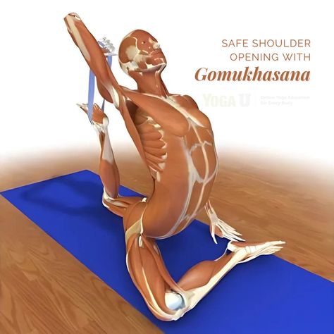 Made of four separate joints, the shoulder is the body's most mobile joint. 

Dr. Ray Long shows how to promote shoulder mobility while maintaining stability with this facilitated stretch in Cow Face Pose.

https://yogauonline.com/yoga-practice-teaching-tips/yoga-anatomy/yoga-anatomy-4-steps-to-facilitated-shoulder-stretching-in-gomukhasana/

#yogapose #yogaanatomy #yogateacher #yogaexpert #cowfacepose #teachyoga #yogajourney #yogapractice #yogaforall #yogachats #yogacourse Gomukhasana Pose, Bandha Yoga, Shoulder Stretching, Subscapularis Muscle, Kylie Pregnant, Shoulder Anatomy, Cow Face Pose, Yoga Articles, Face Pose