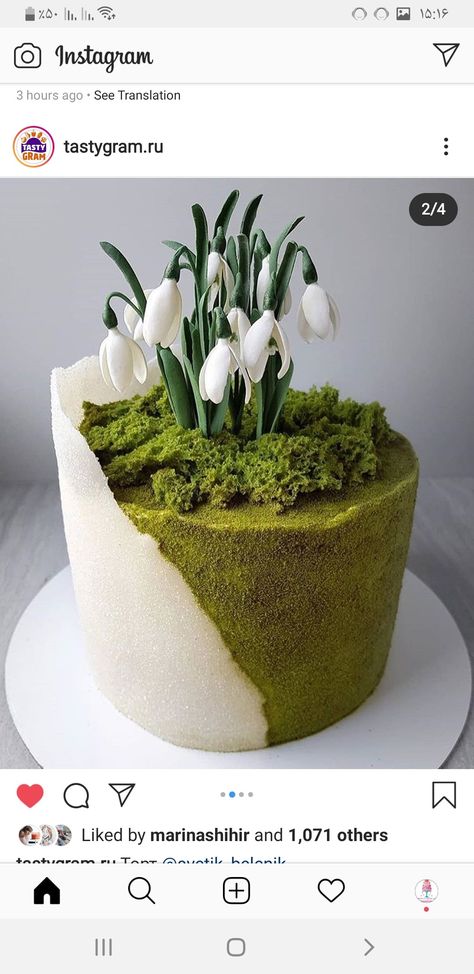 Moss Cake, Nature Cake, Spring Cake, Creative Cake Decorating, Forest Cake, Cake Decorating Videos, Crazy Cakes, Unique Cakes, Cute Birthday Cakes