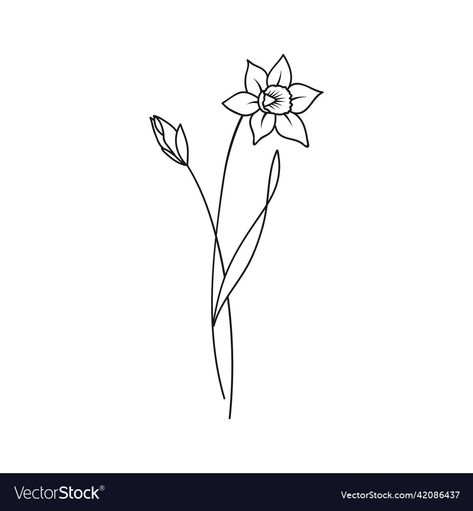 March Birth Flower Tattoo Simple, Birth Month Flower March, Daffodil March Tattoo, Daffodil Tattoo Dainty, Fine Daffodil Tattoo, Daffodils Drawing Simple, Narcissus Drawing Simple, Narcissus Flower Line Drawing, Daphadil Flower Tattoo Simple