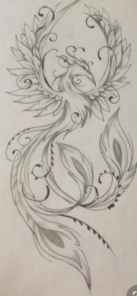 Feminine Phoenix Tattoo, Phoenix Drawing, Phoenix Tattoo Feminine, Phoenix Bird Tattoos, Phönix Tattoo, Tattoo Placements, Phoenix Tattoo Design, Tattoo Zeichnungen, Inspiration Tattoos