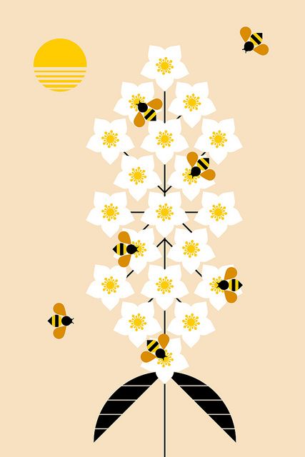 Honey Packaging, Bee Illustration, I Love Bees, Gig Poster, Posca Art, 카드 디자인, Kwazulu Natal, Bee Art, Save The Bees