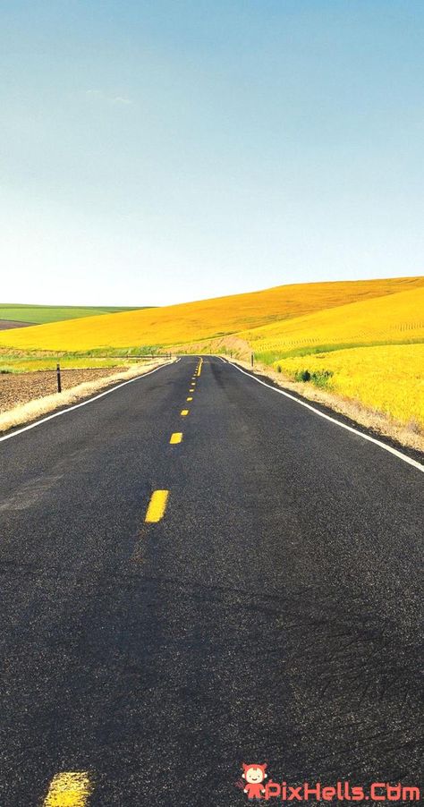 Country Road Yellow Hills HD Wallpapers Free Download Wallpapers Landscape, Yellow Hills, Htc Wallpaper, Farm Harvest, Iphone Wallpaper Yellow, Country Backgrounds, Free Background Images, Beautiful Roads, Iphone Background Images