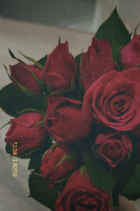 Dazz Cam Filters, Dazz Cam Aesthetic, Red Roses Aesthetic, Cam Aesthetic, Red Roses Bouquet, Dazz Cam, Fireworks Pictures, Rose Flower Photos, Instagram Design Creative