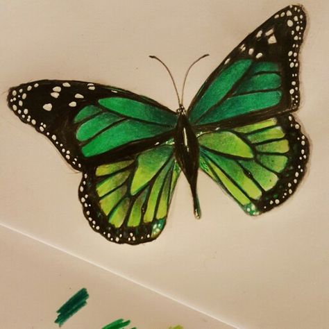 Butterfly tattoo drawing green Small Green Butterfly Tattoo, Green And Yellow Butterfly Tattoo, Emerald Butterfly Tattoo, Green Butterfly Drawing, Green Butterfly Tattoo For Women, Emerald Green Butterfly Tattoo, Green Tattoos For Women, Green Butterfly Tattoo, Yellow Butterfly Tattoo