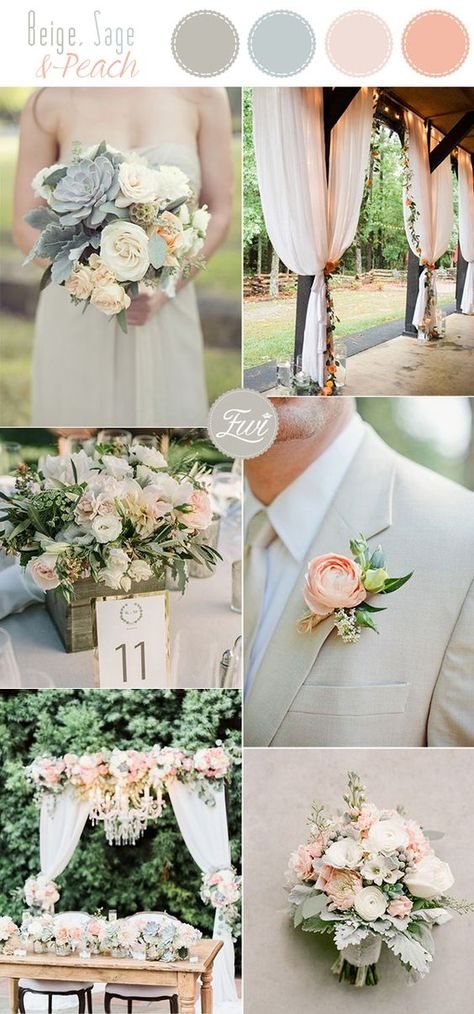 romantic cream,sage and peach summer country pastel neutral wedding color inspiration Neutral Wedding Colors, Outdoor Wedding Inspiration, Wedding Color Inspiration, Summer Wedding Colors, Wedding Theme Colors, Neutral Wedding, Peach Wedding, Pastel Wedding, Wedding Color Palette