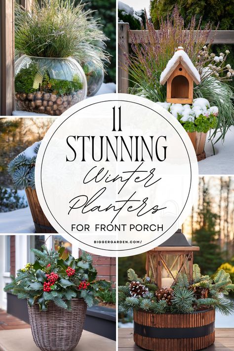 Find 11 easy winter planter ideas to add seasonal cheer to your front porch. Using a mix of evergreens, red berries, and seasonal plants, these ideas offer a simple yet stylish approach to winter decor. Brighten your entryway and keep your home inviting even in the colder months. Hay Rack Planter Ideas, Spring Planter Ideas, Sweetheart Hoya, Winter Planter Ideas, Winter Front Porch Ideas, Winter Container Gardening, Winter Planters, Winter Front Porch, Spring Planter