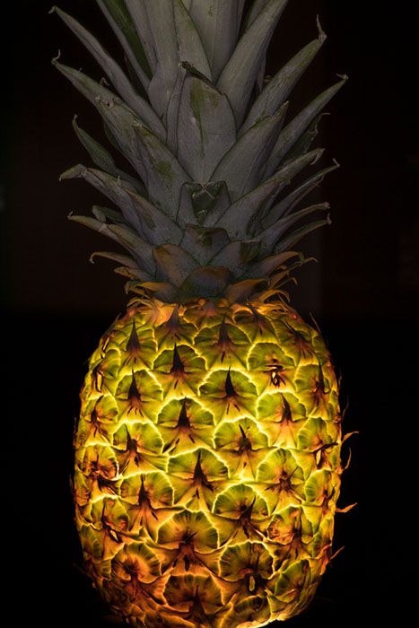 Photographer Radu Zaciu illuminates fruits and vegetables from the inside out Food Abstract, Big Pineapple, Cooking Advice, Inside Outside, Fruit And Veg, Healthy Glow, Fruits And Veggies, Food Design, Botany