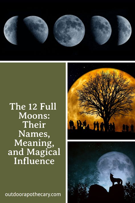 The moon is often an object of fascination. Its phases and names say a lot about how we relate to, and derive meaning from, the moon’s seemingly ever-shifting aspects. Here are the names and meanings of the 12 full moons, plus tips on how they can influence your life. Full Moon Names And Meanings, Super Moon Meaning, Moon Phase Meanings, Crescent Moon Meaning, Moon Phases Meaning, Full Moon Meaning, December Full Moon, February Full Moon, November Full Moon