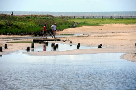 Over the weekend, more than 700 people picked up almost 15 tons of trash from Southeast Texas beaches during the Texas General Land Office's fall Adopt-A-Beach Cleanup. Port Lavaca Texas, Beach Cleanup, Uss Lexington, Texas Beaches, Texas Parks, Charter Boat, Fishing Guide, Fishing Charters, Weird Things