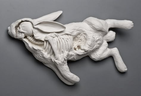 Alarming Juxtapositions of Human and Natural Elements in Sculptures by Kate MacDowell | Colossal Kate Macdowell, White Sculpture, Colossal Art, Porcelain Art, Sculpture Installation, 영감을 주는 캐릭터, Creepy Cute, Ceramic Artists, Porcelain Figurines