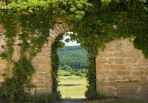 Old wall with arch. Closeup of ivy covered old stone wall with landscape view th , #Sponsored, #Closeup, #ivy, #wall, #arch, #landscape #ad Ivy On Stone Wall, Vines On Stone Wall, Old Brick Wall Garden, Ivy Covered Cottage, Stone Wall Aesthetic, Ivy On Wall, Garden Wall Aesthetic, Stone Wall Garden, Entwined Art