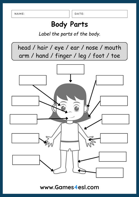 This is one of many fun body parts worksheets available for free. To complete this worksheet, kids must lable the body parts using the words provided. This worksheet is perfect for kids and beginner English language learners who are learning the names of body parts in English. Body Vocabulary Worksheets, Parts Of The Body For Kids Worksheet, Body Parts For Kids Worksheets, Parts Of Body Activities For Preschool, Body Parts Worksheet Kindergarten, Body Parts Worksheet For Kids, Parts Of The Body For Kids Activities, Parts Of Body For Kids, My Body Worksheets For Kids