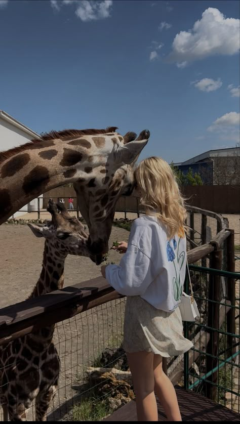 Blond girl 
Sweatshirt 
White sweatshirt 
Giraffe 
Zoo 
Feeding giraffes 
Aesthetic Zoo Pics Ideas, Zoo Photo Ideas, Zoo Fits, Zoo With Friends, Feeding Giraffes, Flick Ideas, Zoo Outfit, Zoo Pictures, Zoo Photos