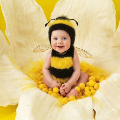 Bumble Bee Art, Baby Record Book, Anne Geddes, Bee Costume, Baby Images, Baby Bee, Iconic Photos, Baby Photoshoot, Small World