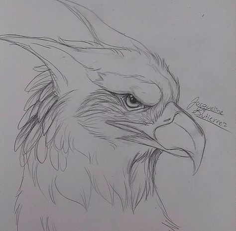 :) Drawing Mythical Creatures, Griffin Drawing Easy, Hypogriff Drawing, Hippogriff Drawing, Griffin Sketch Tattoo, Griffin Drawing Sketches, Griffin Sketch, Griffin Drawing, Griffin Medieval